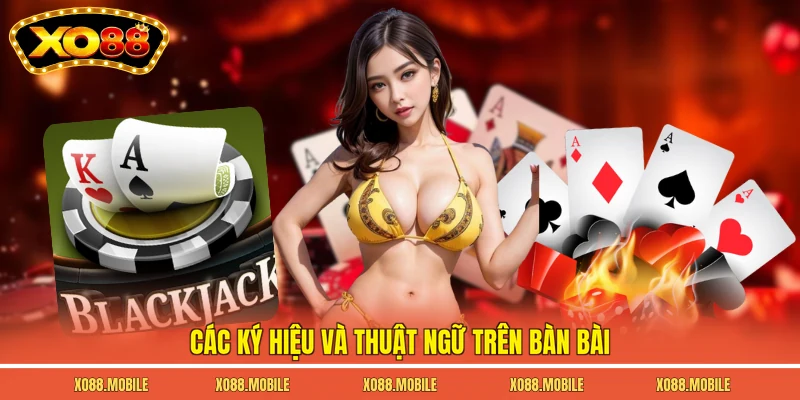 Các ký hiệu và thuật ngữ trên bàn bài