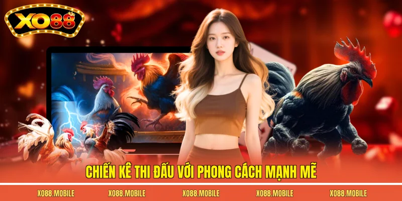Chiến kê thi đấu với phong cách mạnh mẽ