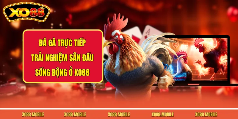 Đá Gà Trực Tiếp