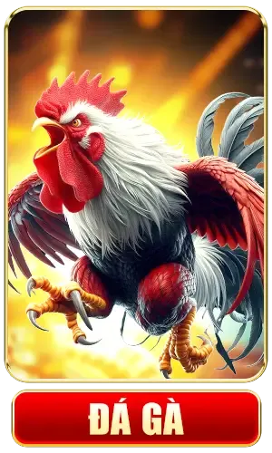 đá gà