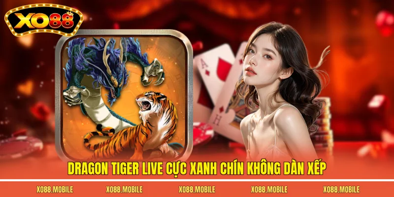 Dragon tiger live cực xanh chín không dàn xếp