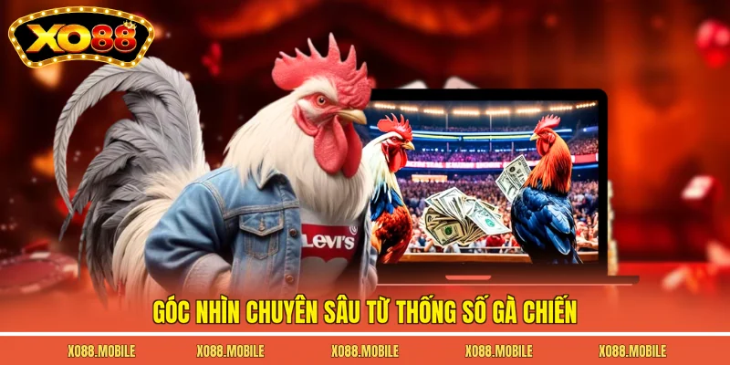 Góc nhìn chuyên sâu từ thống số gà chiến