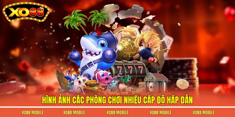 Hình ảnh các phòng chơi nhiều cấp độ hấp dẫn