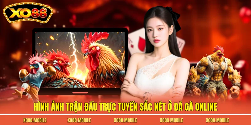 Hình ảnh trận đấu trực tuyến sắc nét ở đá gà online