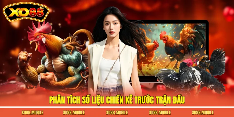 Phân tích số liệu chiến kê trước trận đấu