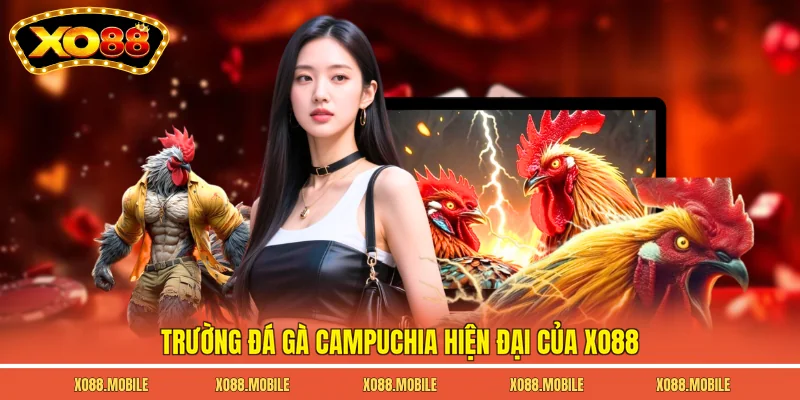 Trường đá gà Campuchia hiện đại của Xo88