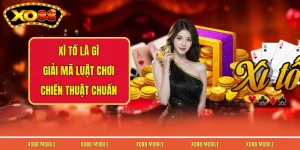 Xì Tố Là Gì